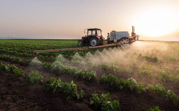 Professional Pest Control in High Rolls, NM