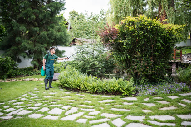 Best Affordable Pest Control Services  in High Rolls, NM