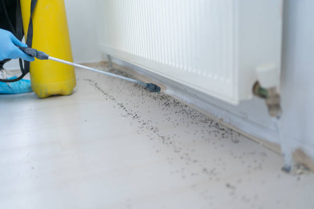Best Pest Control for Restaurants  in High Rolls, NM