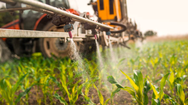 Best Pest Removal Services  in High Rolls, NM